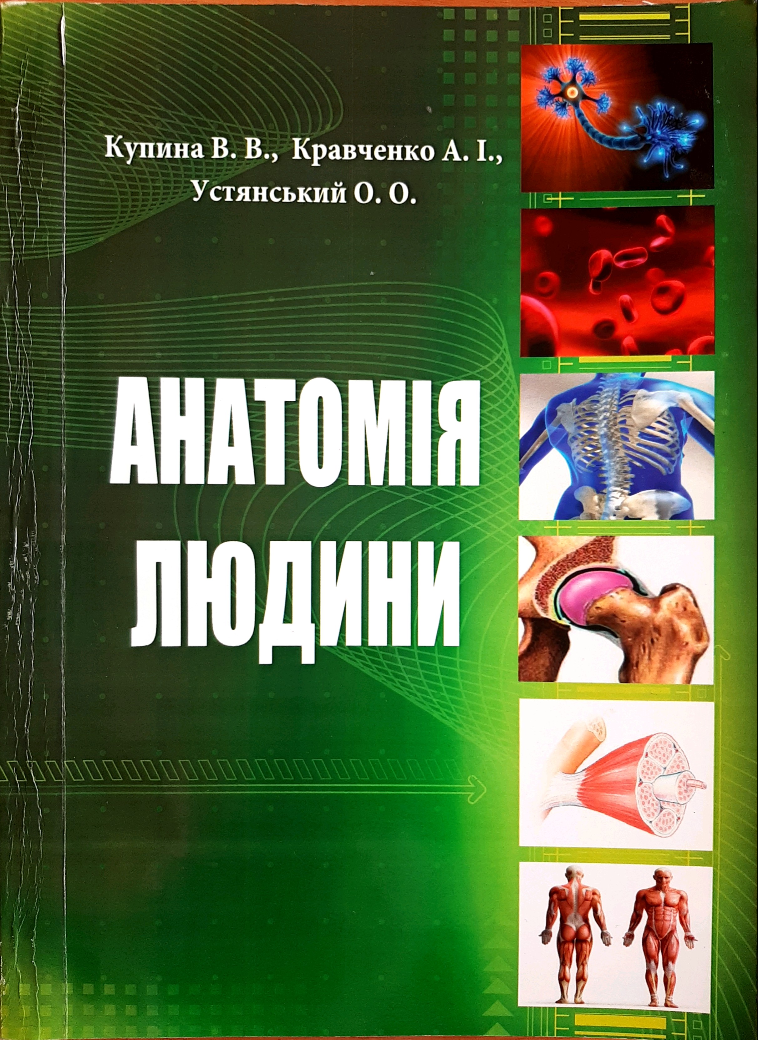 skan anatomiya lyudini 1 1 8d6e0